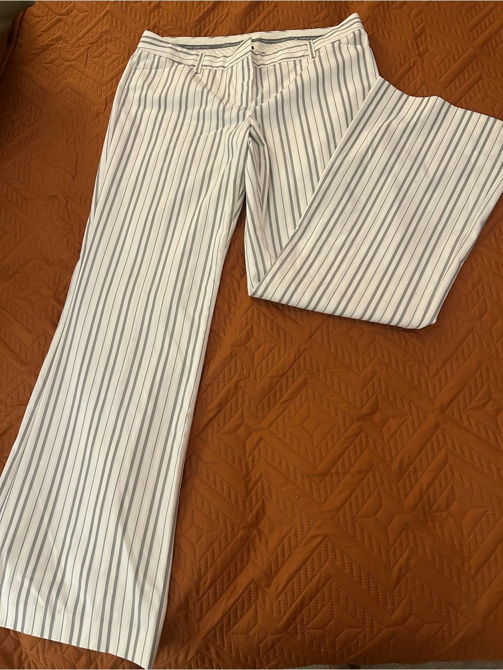 Express Wide Leg Pants White with Black Pinstripes